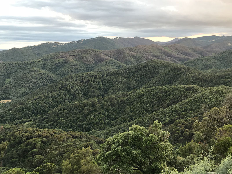 Montnegre